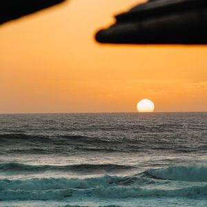 Meet your Posher, Benjamin